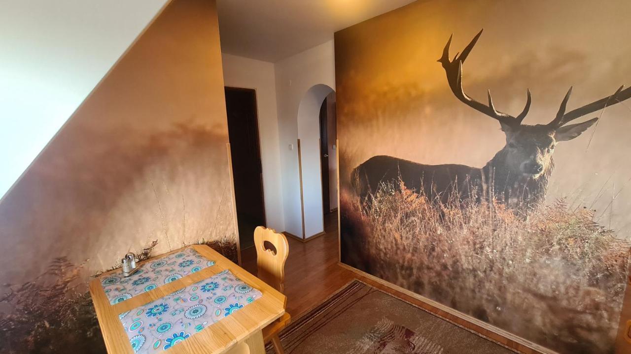 Appartamento Wynajem Pokoi Magdalena Zakopane Esterno foto